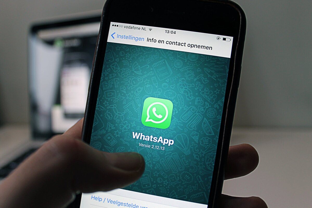 Как научить маму пользоваться WhatsApp? | EdMarket | Дзен