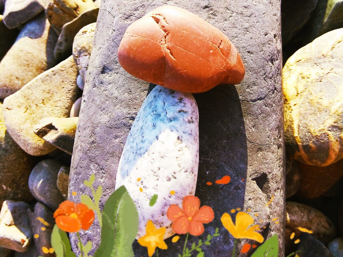 Подосиновик "вырос" прямо на берегу моря! 