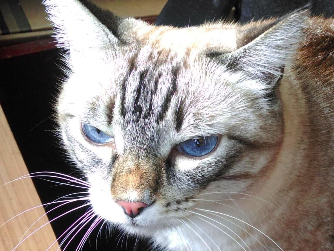 - Какая нелепая, какая случайная чудовищность!