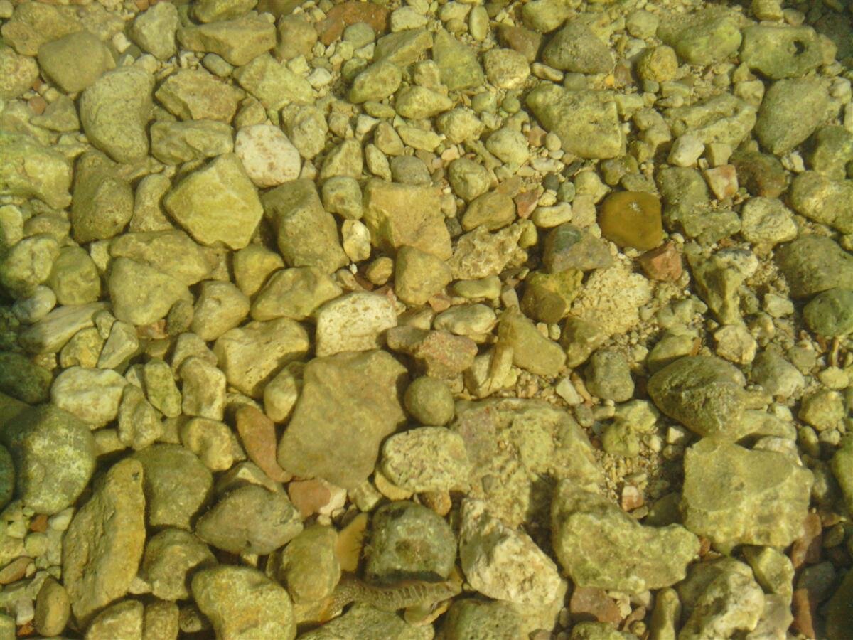 Тут вода до колена. Рыбки плавают. Но, похоже, это единственный вид живых существ, которому тут плавать комфортно.