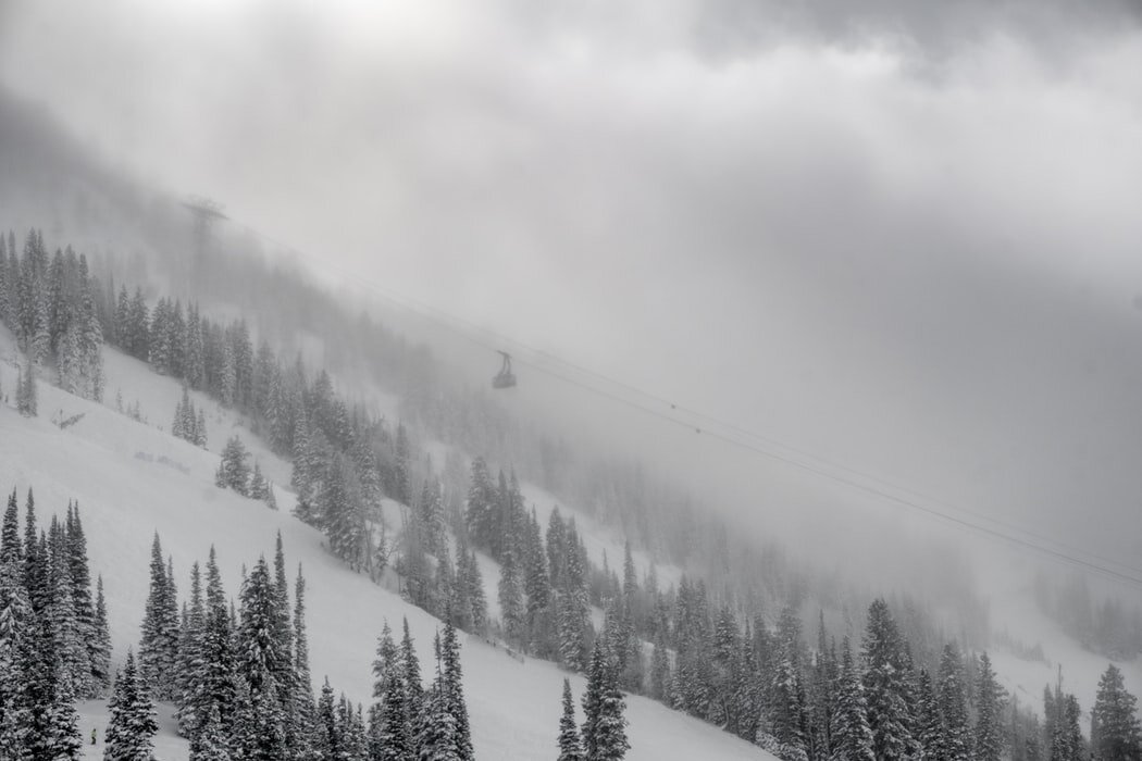 https://images.unsplash.com/photo-1482358896933-1fc1a63c3f87?ixlib=rb-1.2.1&ixid=eyJhcHBfaWQiOjEyMDd9&auto=format&fit=crop&w=1050&q=80