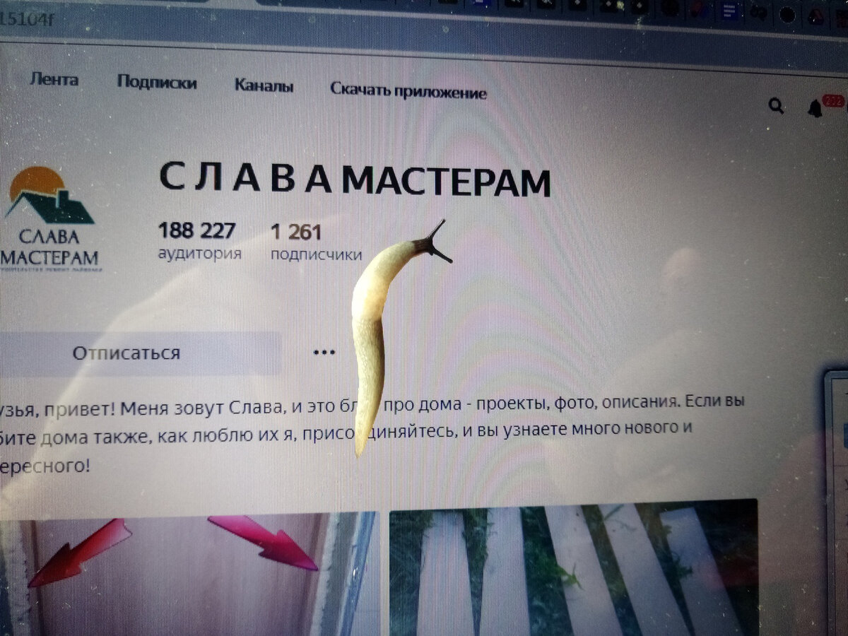 Было смешно:) В этот год уродились всякие томаты и перцы, думаю с урожая приползла!