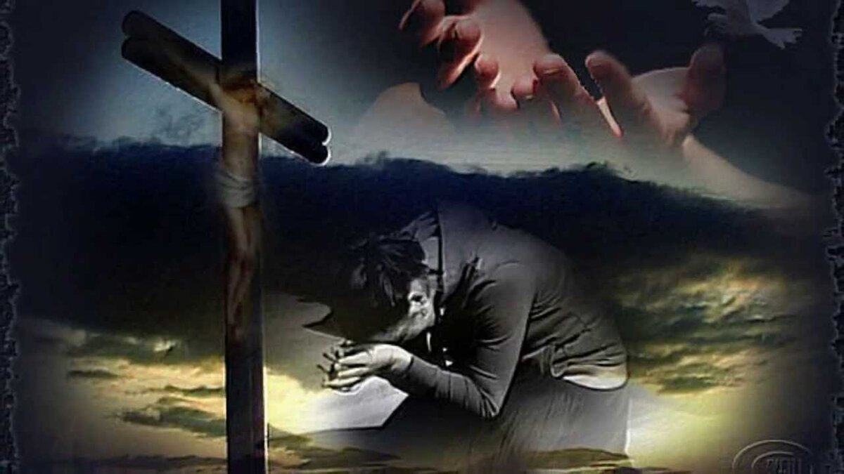 Фото из открытых источников.