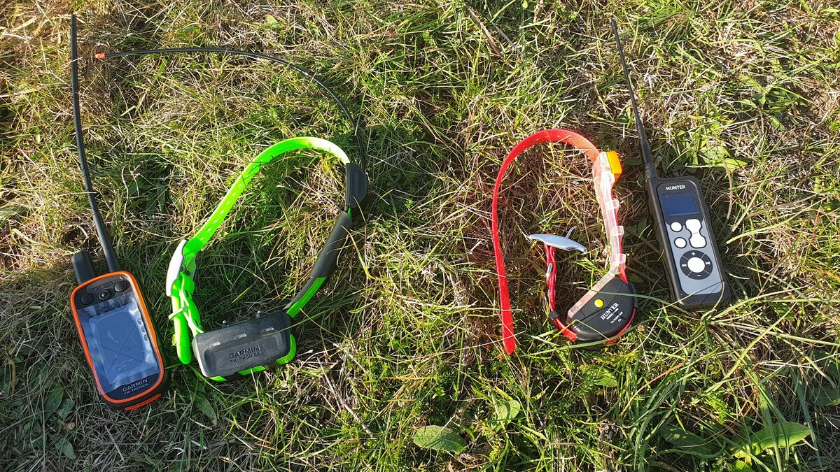 Слева радиоошейник с GPS навигатором Garmin Alpha 100, а справа китайский аналог Hunter DTR 25000.