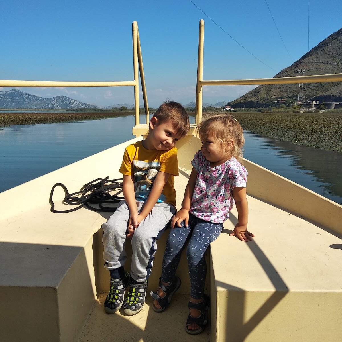 Мои птенчики