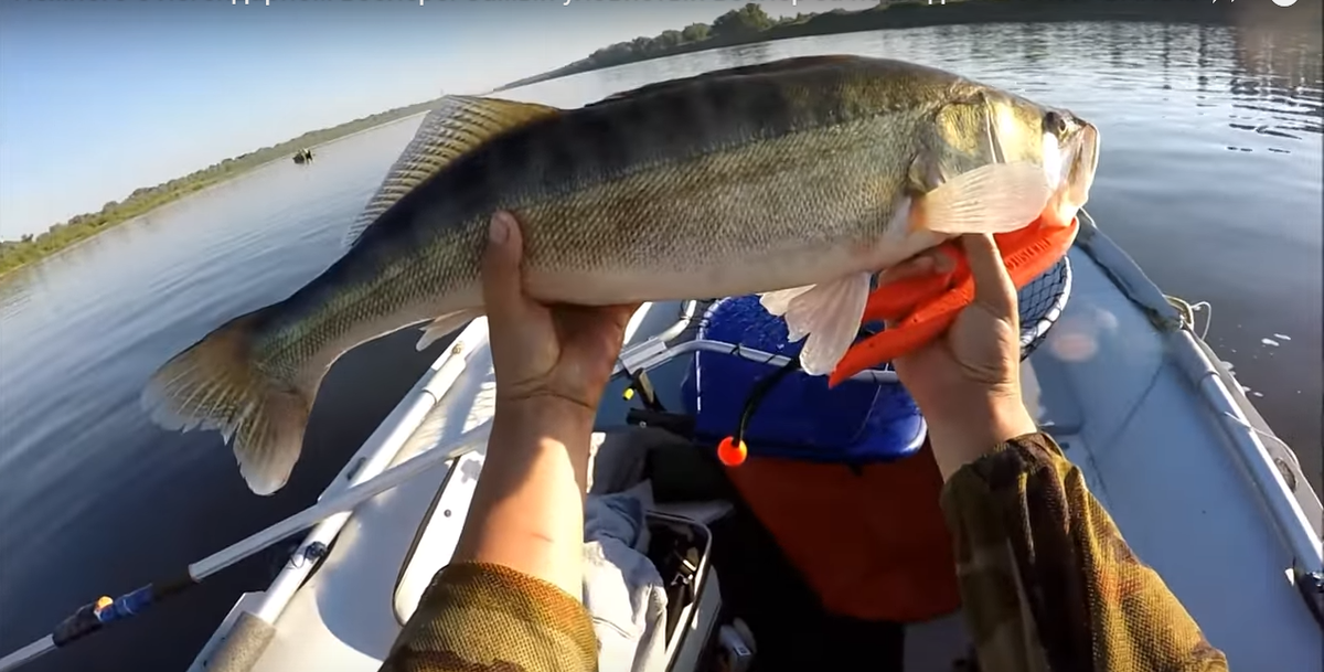 Рыбалка в Нижегородской области