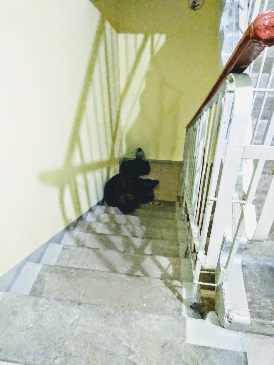 Личное фото.