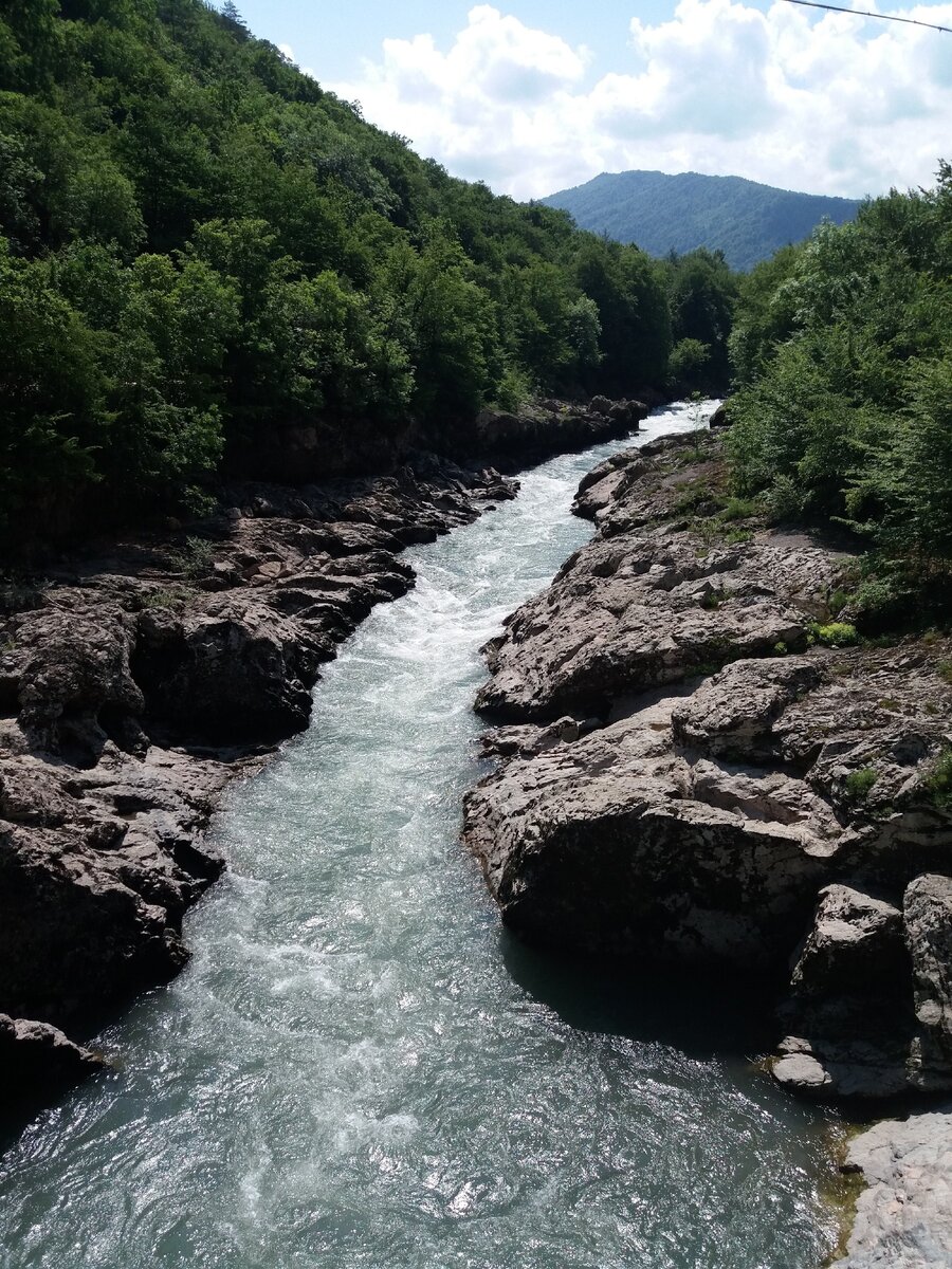 Яворова поляна гузерипль фото