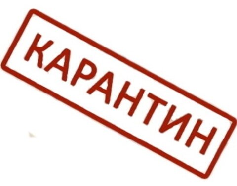 #лучшедома