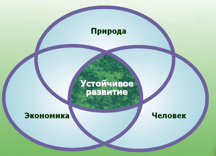 Природа социальные проблемы. Принципы устойчивого развития схема. Устойчивое развитие. Концепция устойчивого развития. Понятие устойчивого развития.