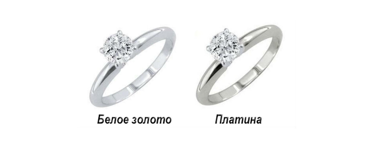 картинка из интернета