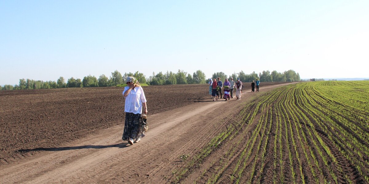 Продать землю лпх. Канск подсобное хозяйство. Земли ЛПХ. Свободные участки для ЛПХ весной фото.