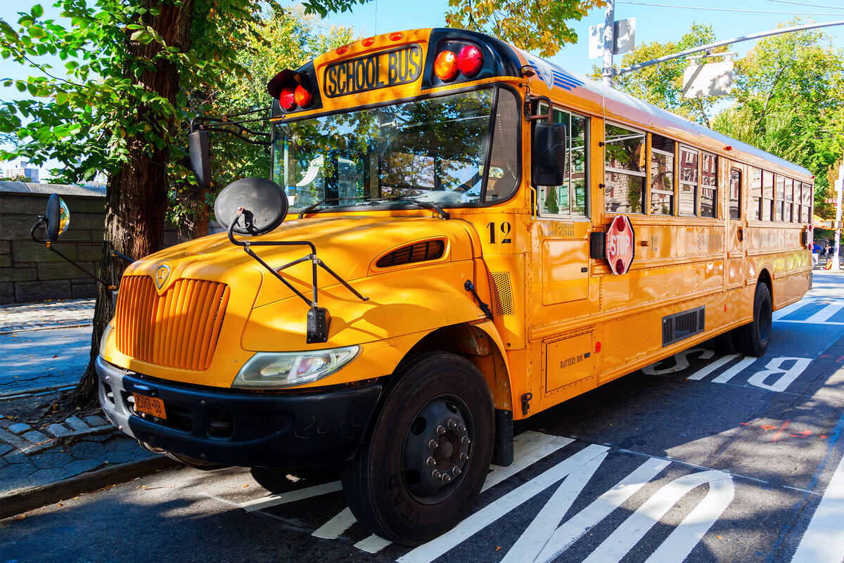 фото взято с Яндекс картинок.