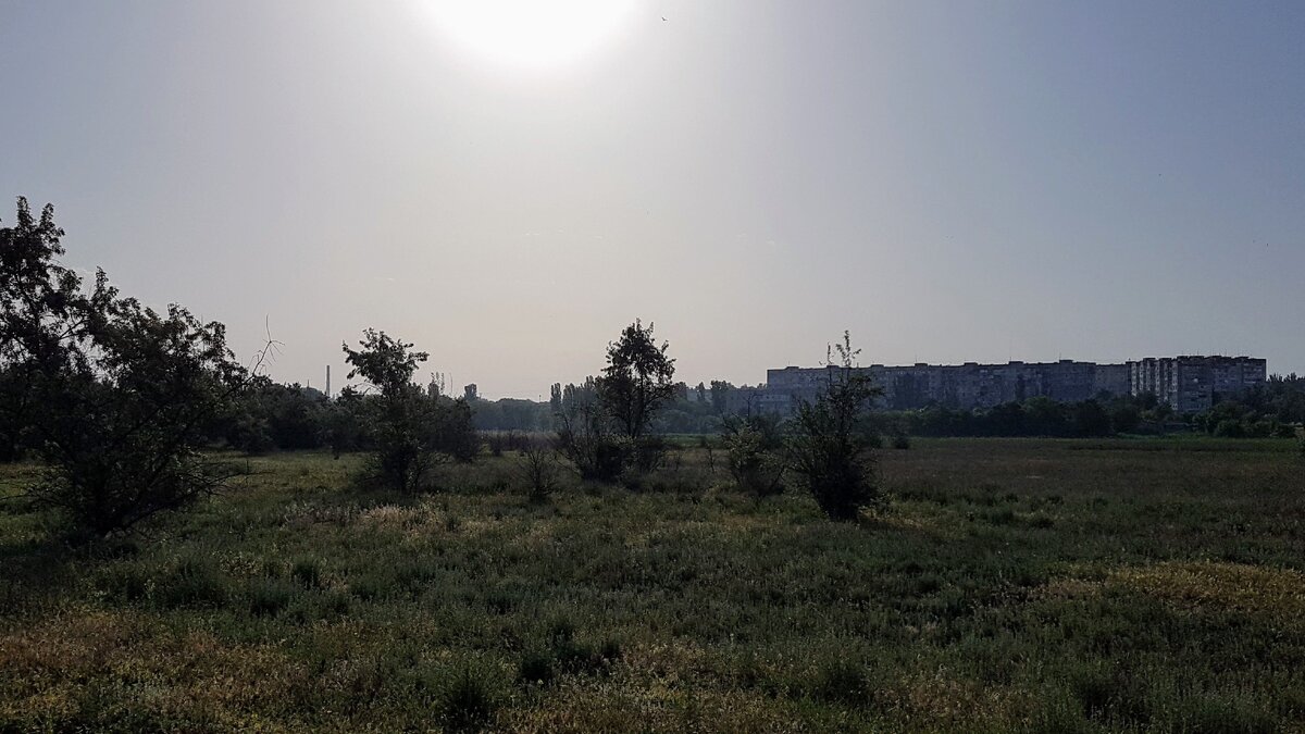 Солнце трудится не за страх, а за совесть. 