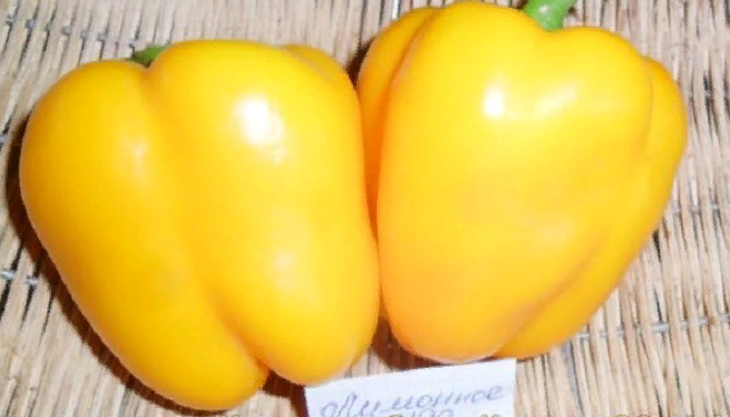 Сроки созревания: