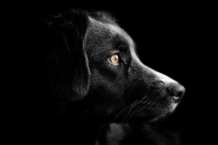 Фото из открытых источников на images.google