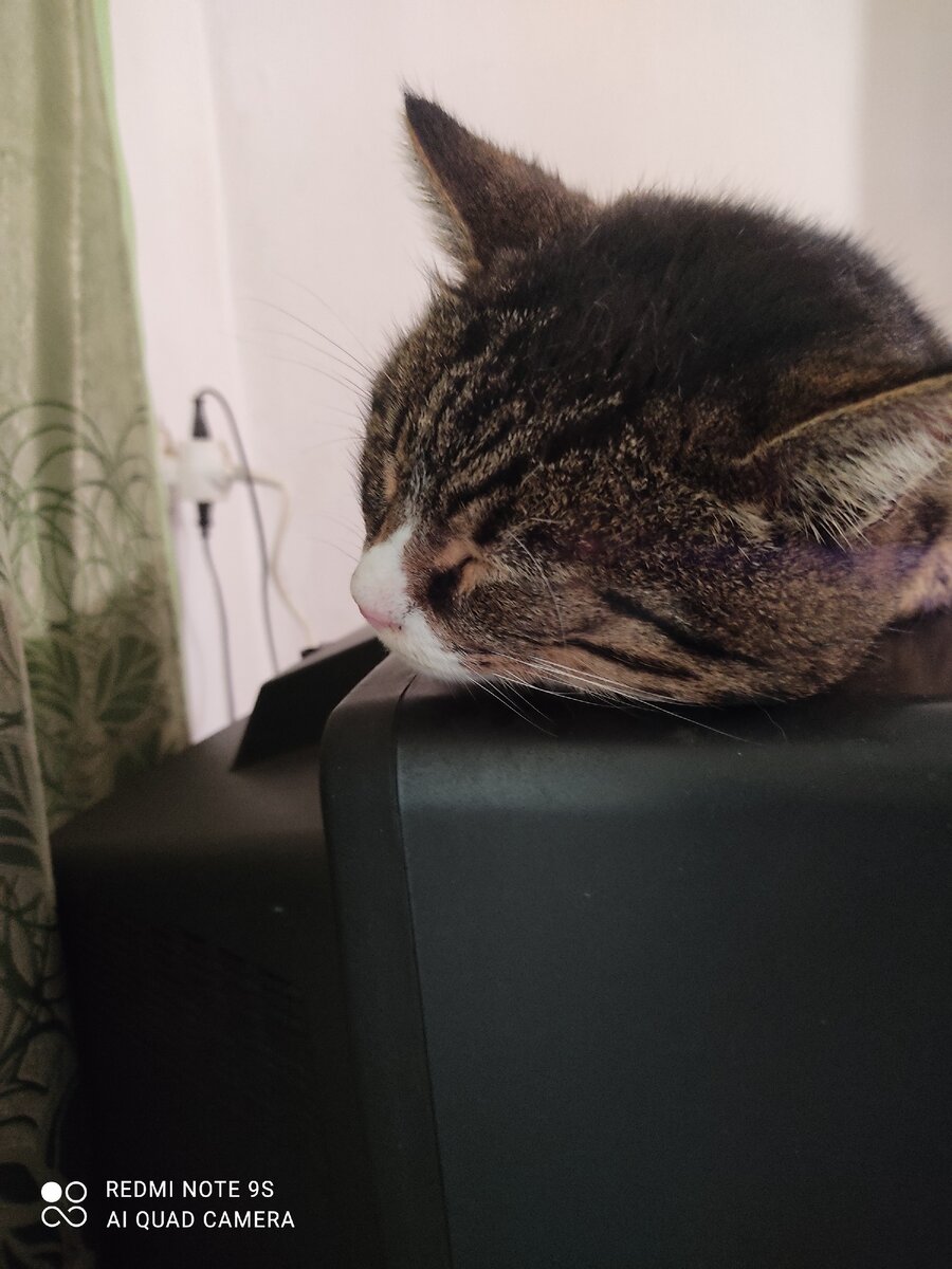 Самая удобная кровать