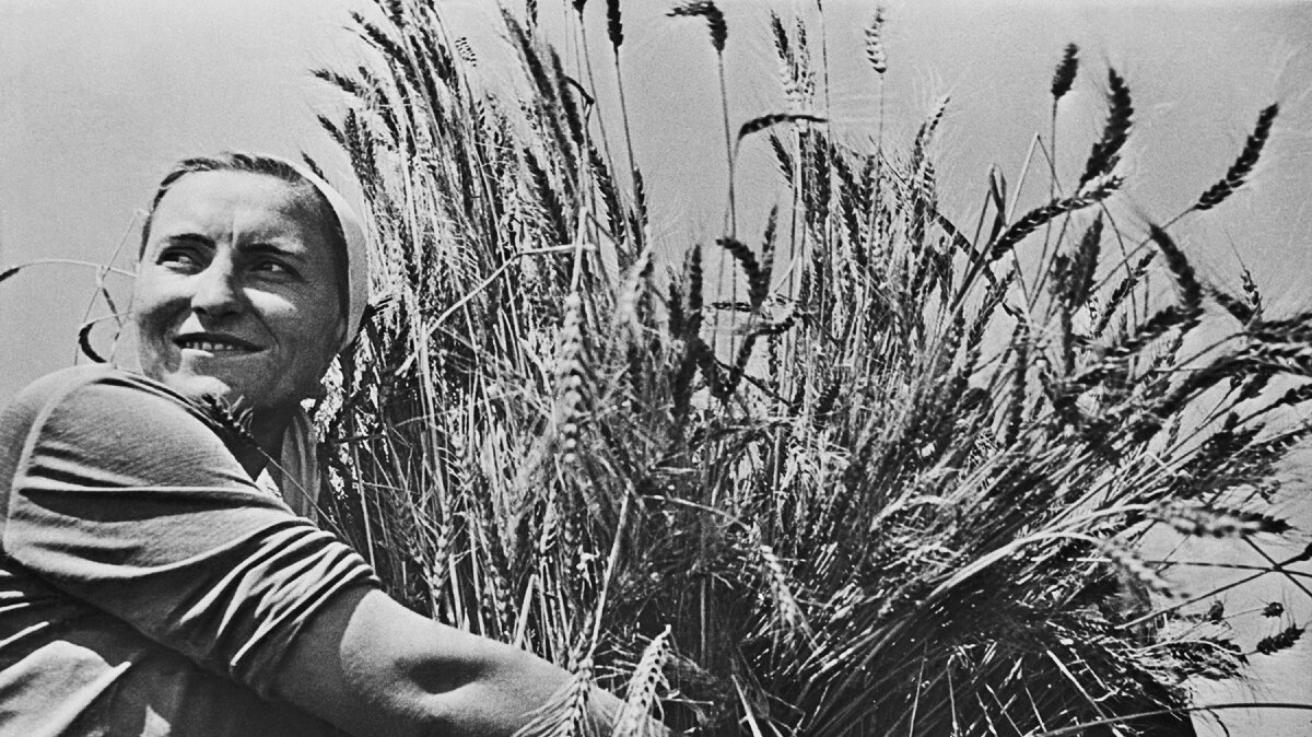 Фото взято из свободного доступа сети интернет 