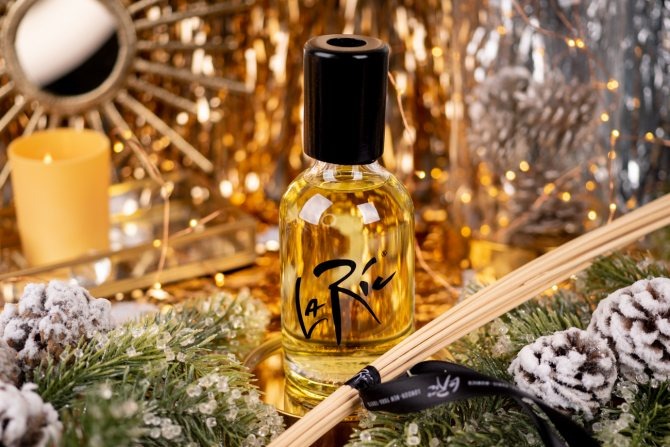 Фото взято из открытого источника