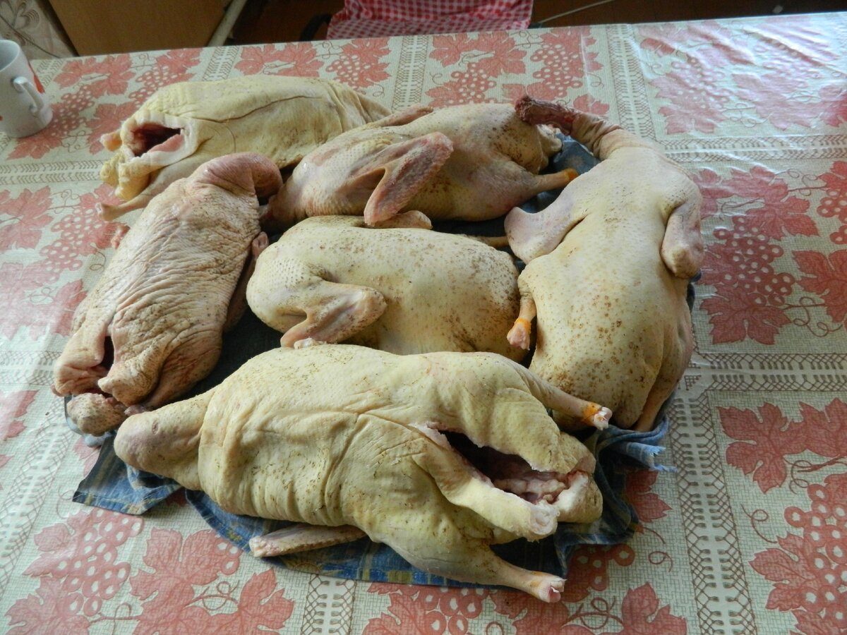 Пожелтее девочки, побелее мальчики.