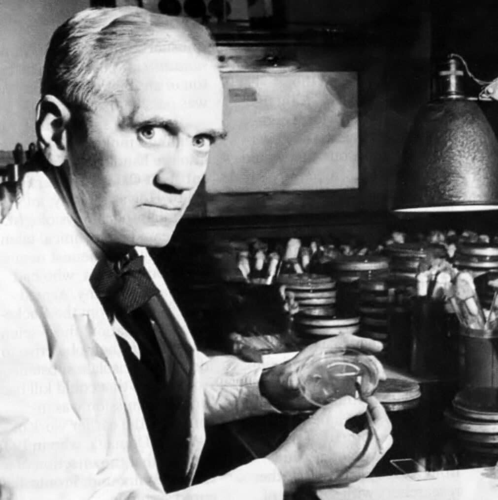 Профессор Александр Флеминг, британский микробиолог и открыватель пенициллина, работает в лаборатории, 1944 год, Лондон. Фото: общественное достояние