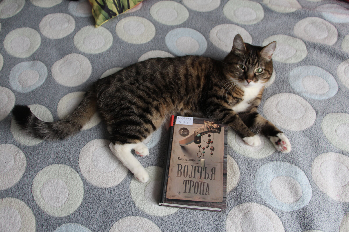 Книгу взяла в библиотеке, кот - собственность автора))); фото - мое 