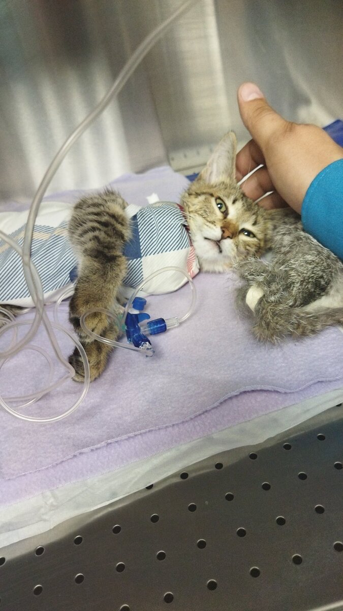 В стационаре после операции