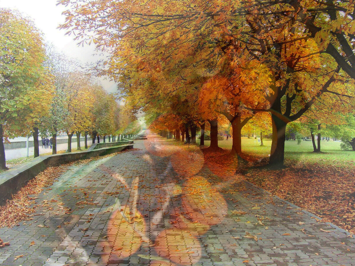 Фото автора.