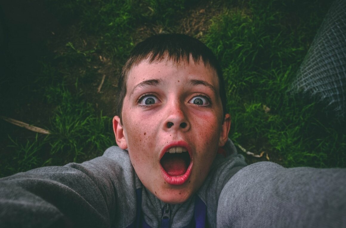 Например, вот так копирует. Фото с сайта pexels.com