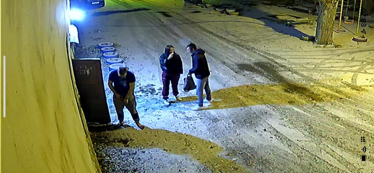 Разве люди в таком состоянии могут понять человеческую речь?