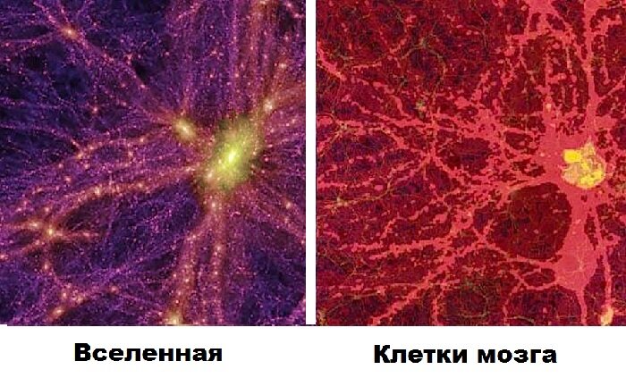 Изображение Яндекс Картинки.