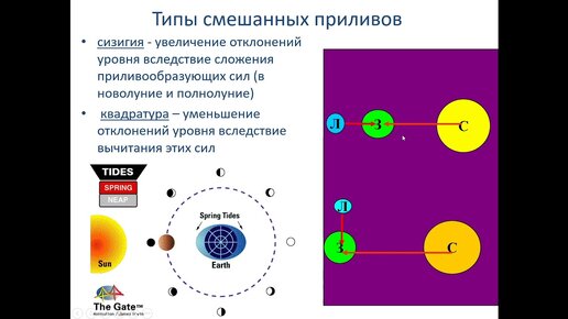 Добролюбов С. А. - Гидрология - Лекция 19