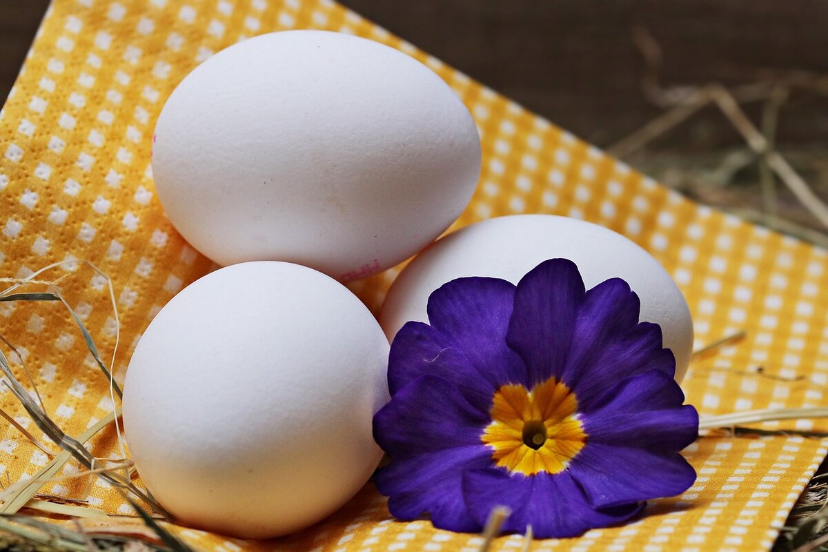 Зачем яйца в блинах. Яйцо куриное. Красивые куриные яйца. Красивые яйца. Яйца красиво.