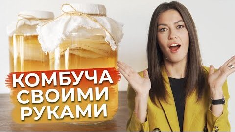 Скачать видео: Чайный гриб – ЭТО ПОЛЕЗНО! / Как приготовить комбучу в домашних условиях?