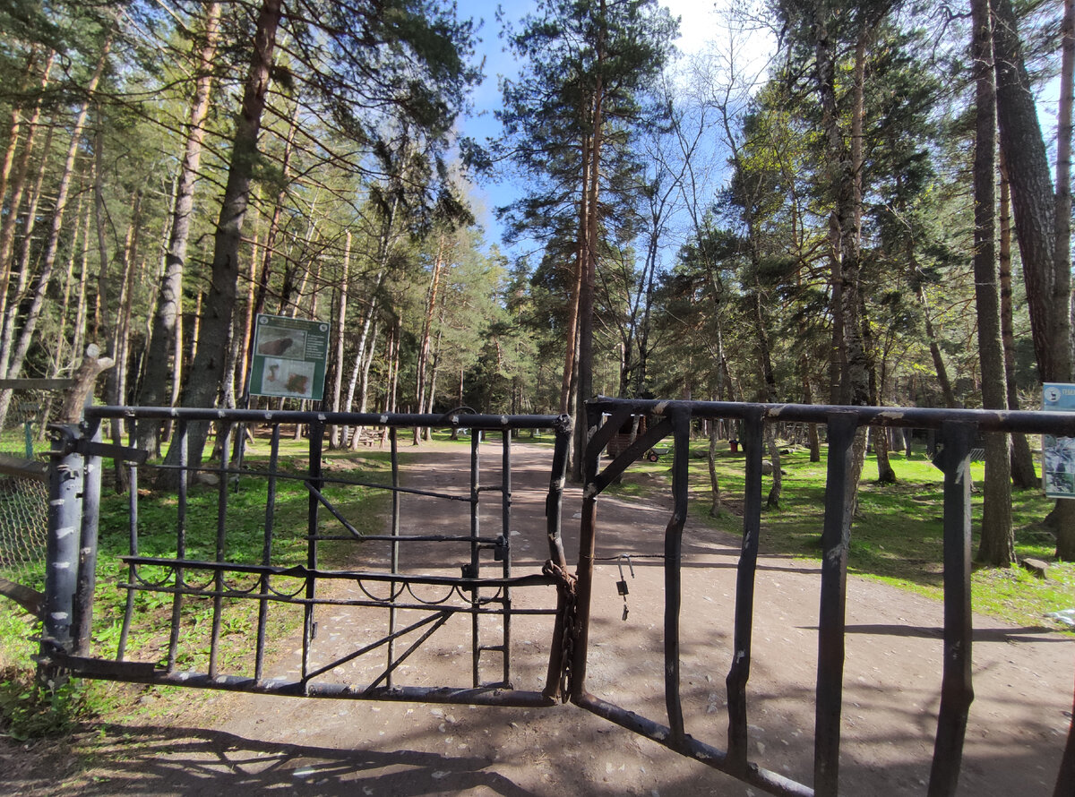 Вход в Тебердинский заповедник. 