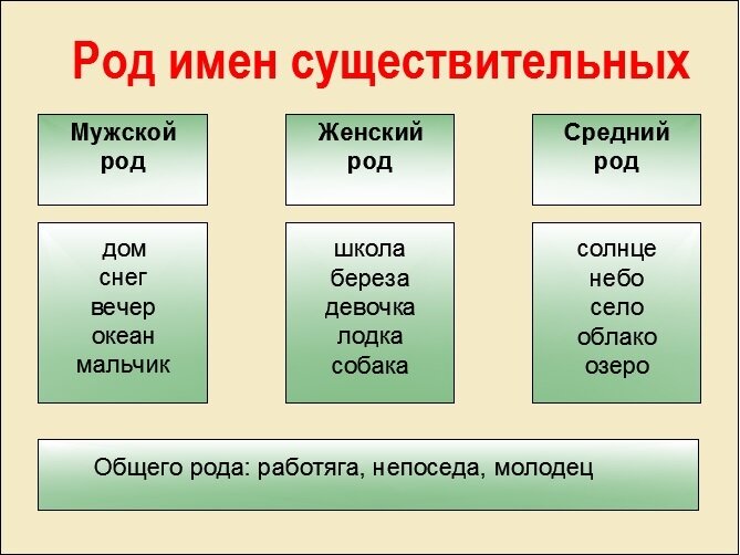 Что такое имя нарицательное в русском языке: что значит, правила и примеры