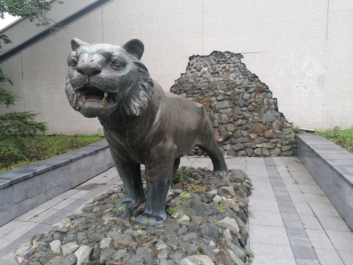 Фото автора