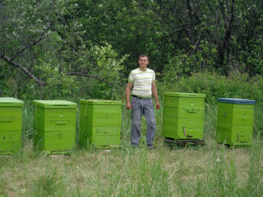    Оренбуржец Юрий Войник: Было интересно, как пчелы могут из капельки нектара делать мед Кристина Просвиркина