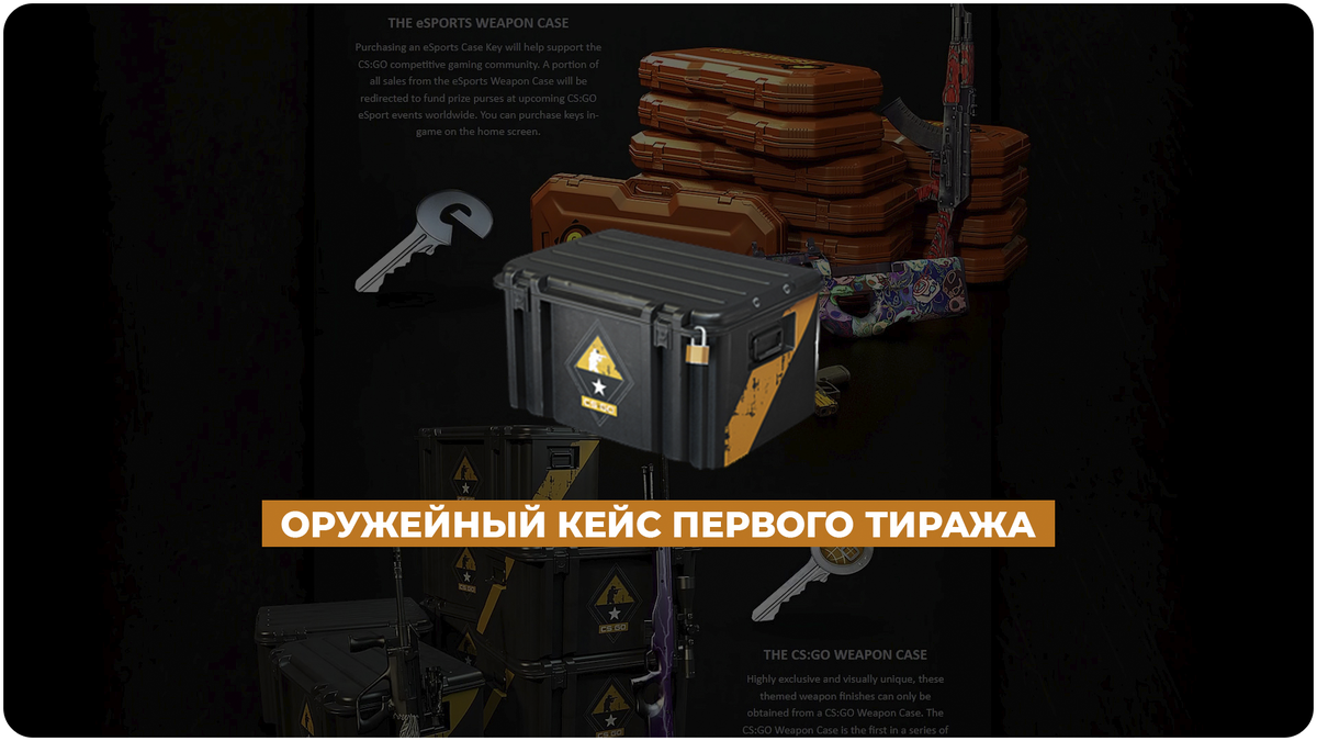 Так выглядит оружейный кейс первого тиража