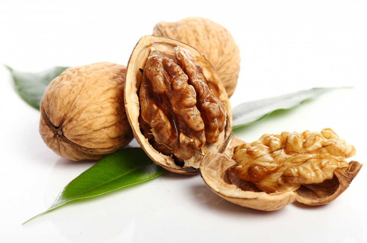    Грецкий орех: вкусный и… прибыльный.
