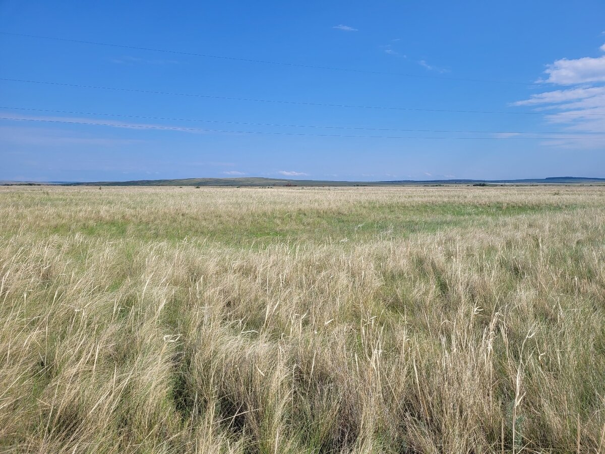 Верхнеуральское укрепленное поселение, жилищная впадина. Фото Надежды Малой