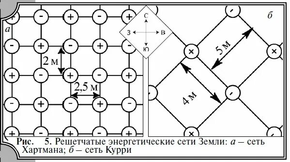 Биолокация