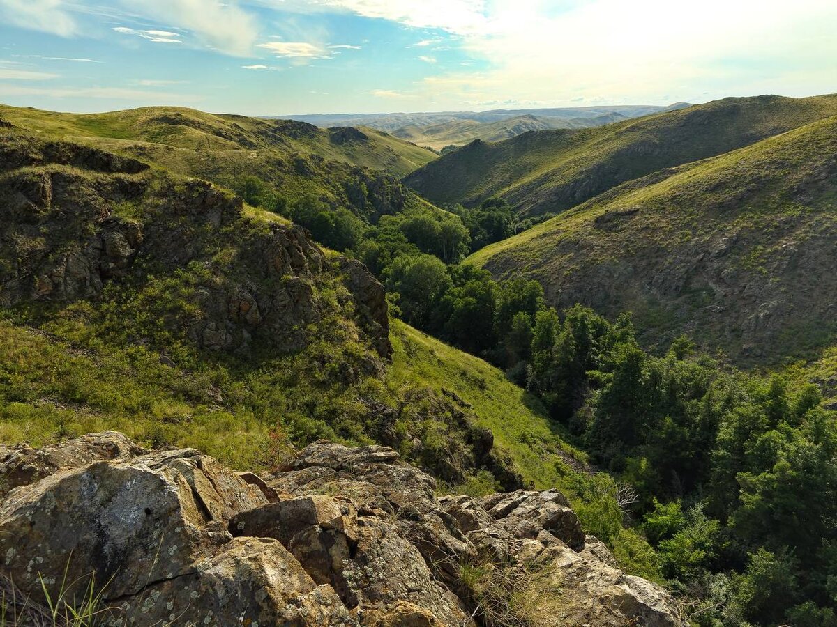 Фото из свободных источников сети интернет