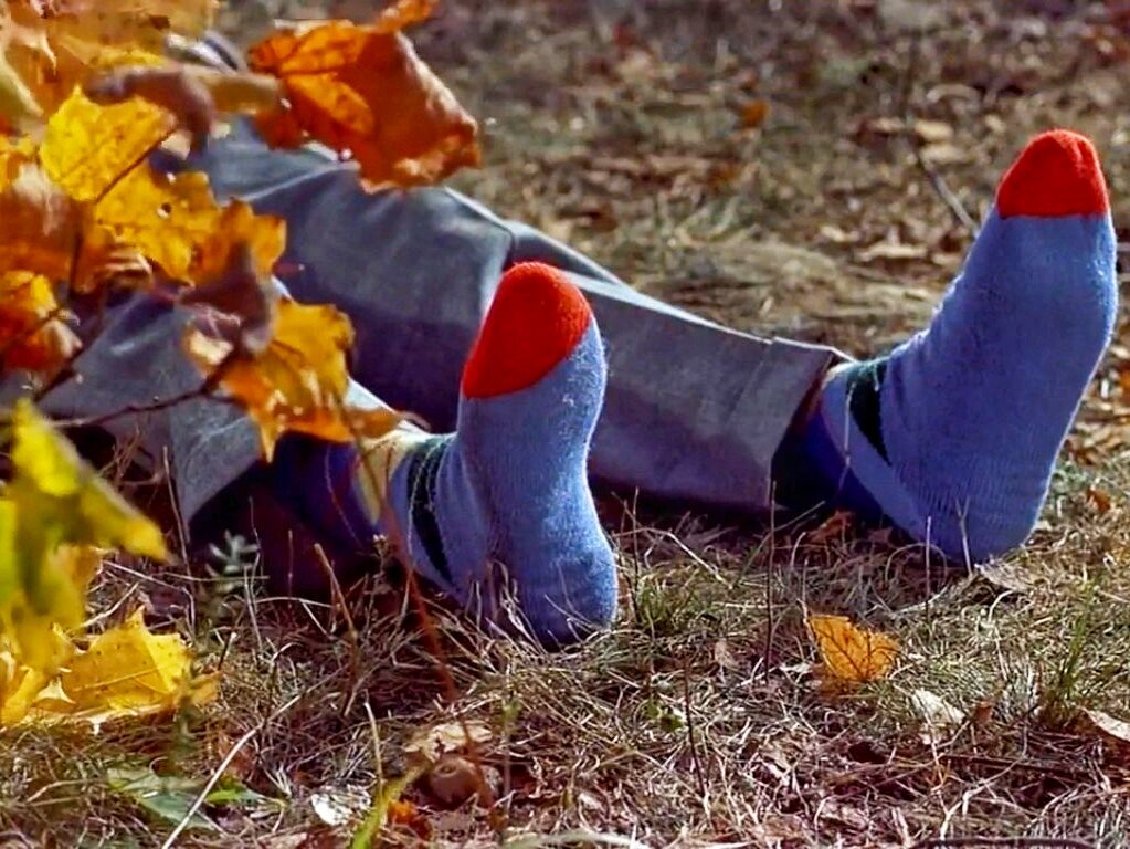 Кадр из фильма «Неприятности с Гарри», 1955 год, режиссер Альфред Хичкок