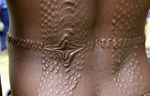  Новая Гвинея