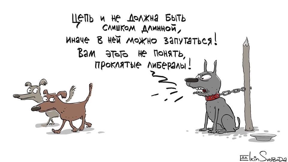 Либералы полагают, что государственный контроль навязывает людям «единственно верную» призму восприятия действительности, что препятствует познанию мира подобно цепи с ошейником