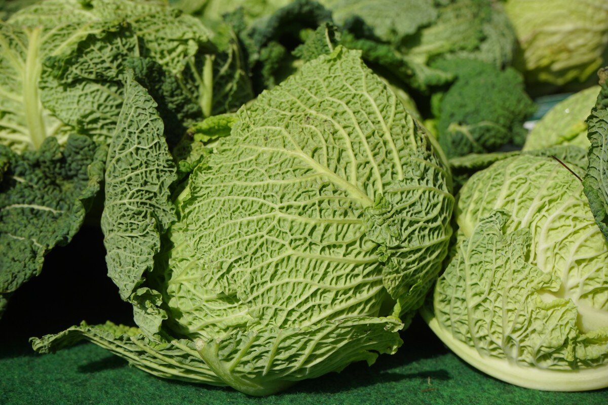 Капуста Царская