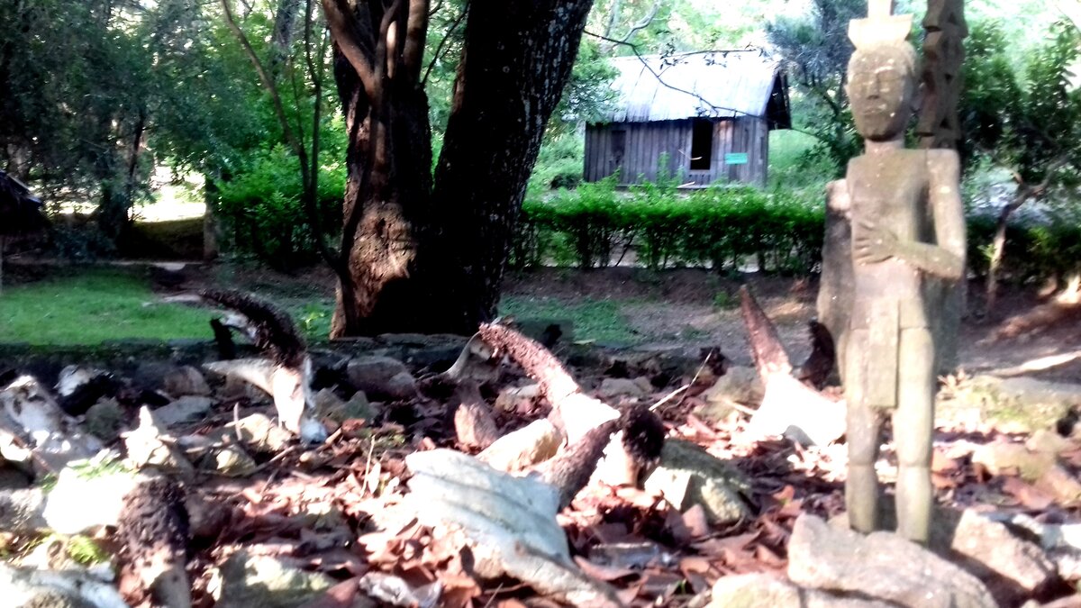 Фото: Артем Андриянов