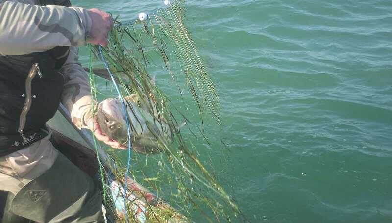 Фото: khersonline.net, © ForPost (sevastopol.su)