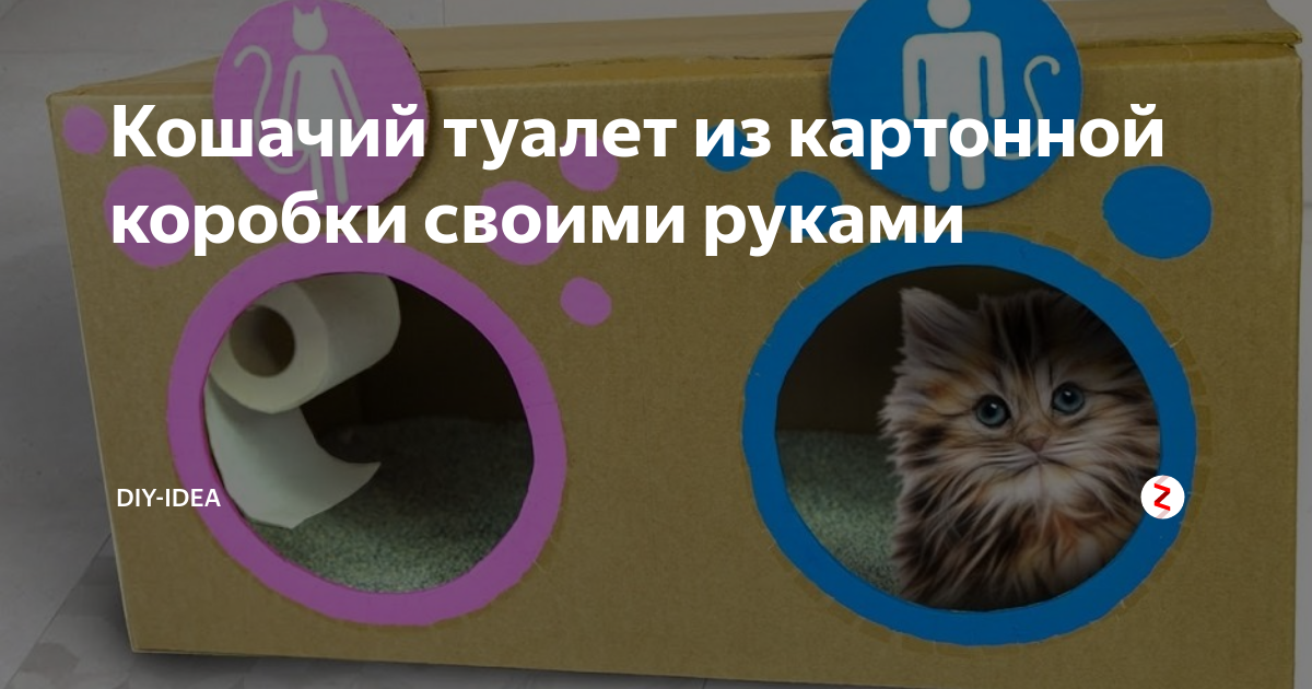 Закрытый туалет для кошек своими руками | Hill's Pet